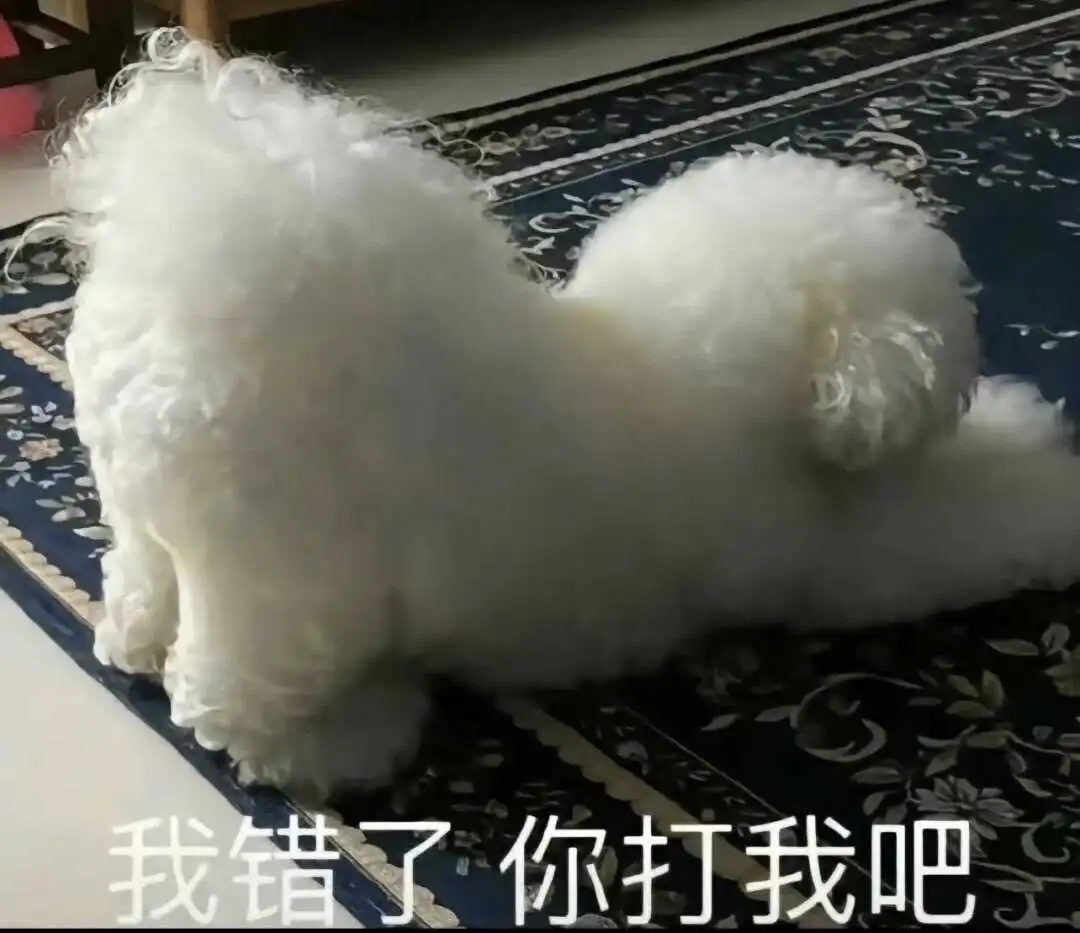 西檬之家BDSM入门:解密K8猫系与社群安全基石 一