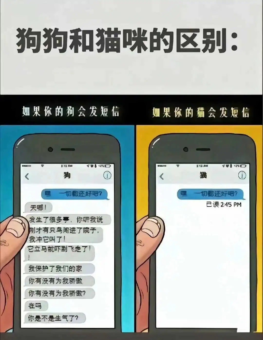 西檬之家字母圈Dom是什么意思? 一
