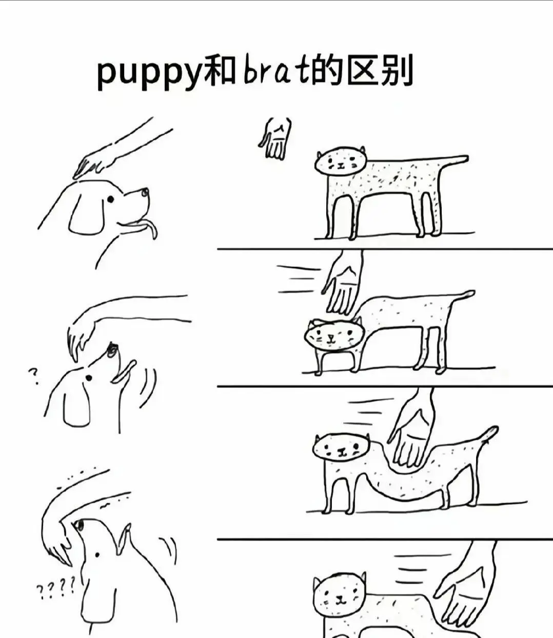 西檬之家sp小圈是什么?字母圈新人入圈 一