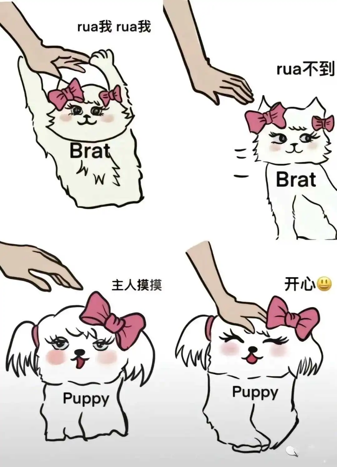 西檬之家DS关系怎么玩? 一