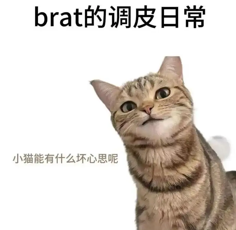 西檬之家字母圈新手入圈指南 一