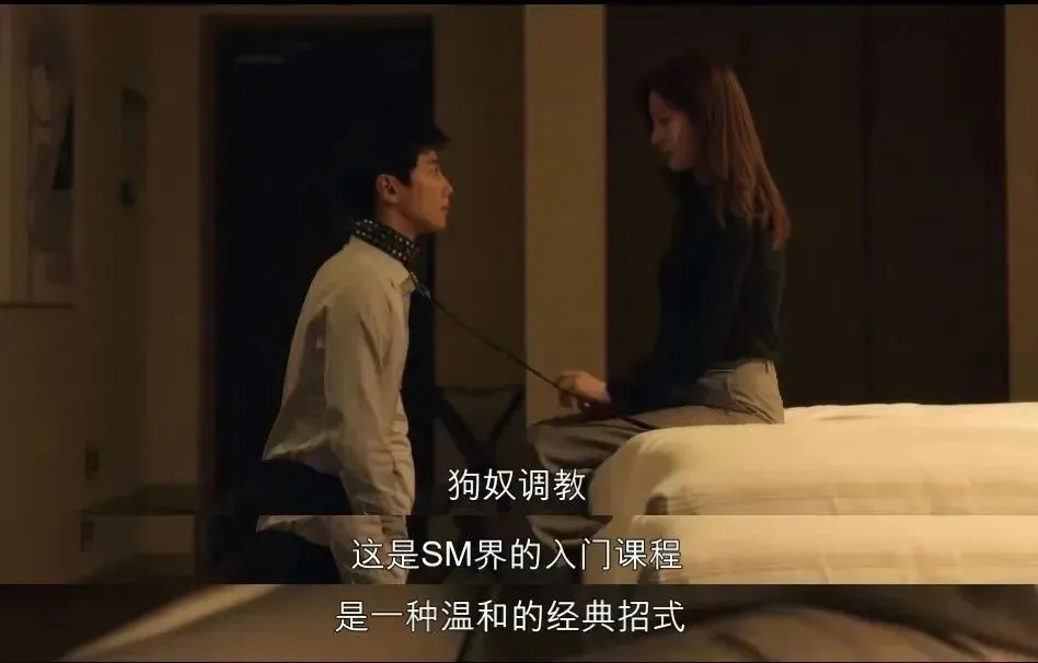 西檬之家K9是什么? 一